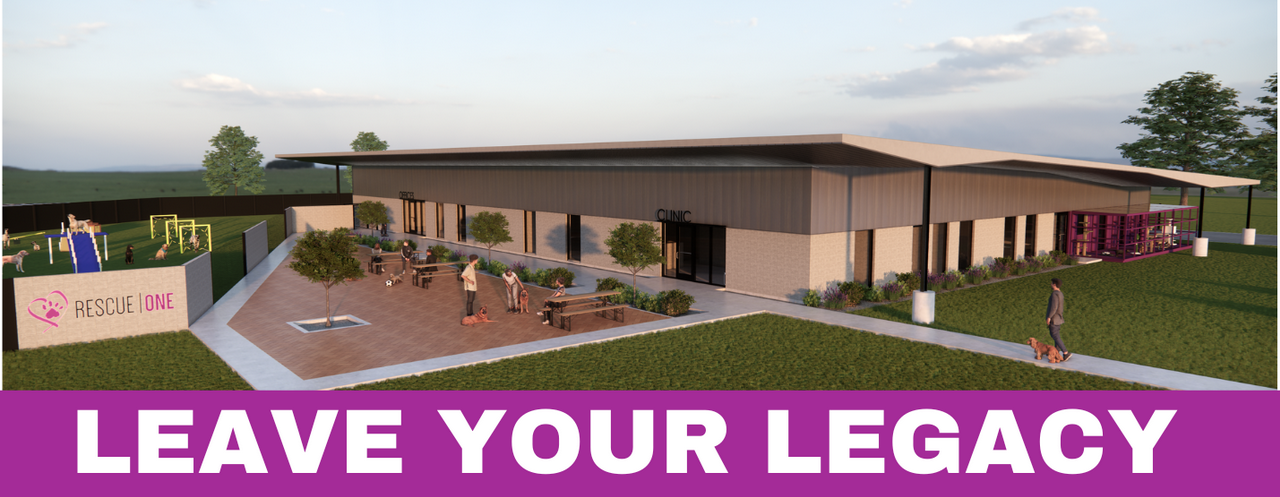 From Hope to Home Capital Campaign Legacy Pavers